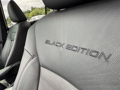 2022 Honda Pilot Elite  Black Edition - Photo 49 - Flushing, MI 48433