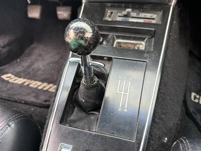 1979 Chevrolet Corvette L48  4 Speed Manual - Photo 2 - Flushing, MI 48433
