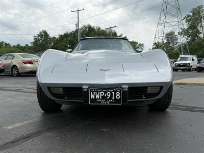 1979 Chevrolet Corvette L48  4 Speed Manual - Photo 9 - Flushing, MI 48433