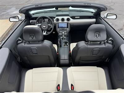 2021 Ford Mustang EcoBoost  Premium Convertible - Photo 21 - Flushing, MI 48433