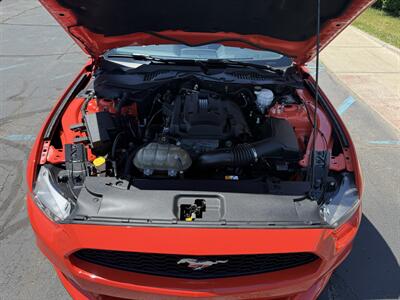 2016 Ford Mustang EcoBoost - Photo 33 - Flushing, MI 48433
