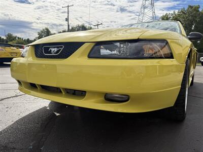 2001 Ford Mustang GT 5-Speed Manual - Photo 24 - Flushing, MI 48433