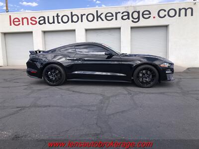 2019 Ford Mustang EcoBoost  *62k Mile 2.3L EcoBoost Stang! Coupe