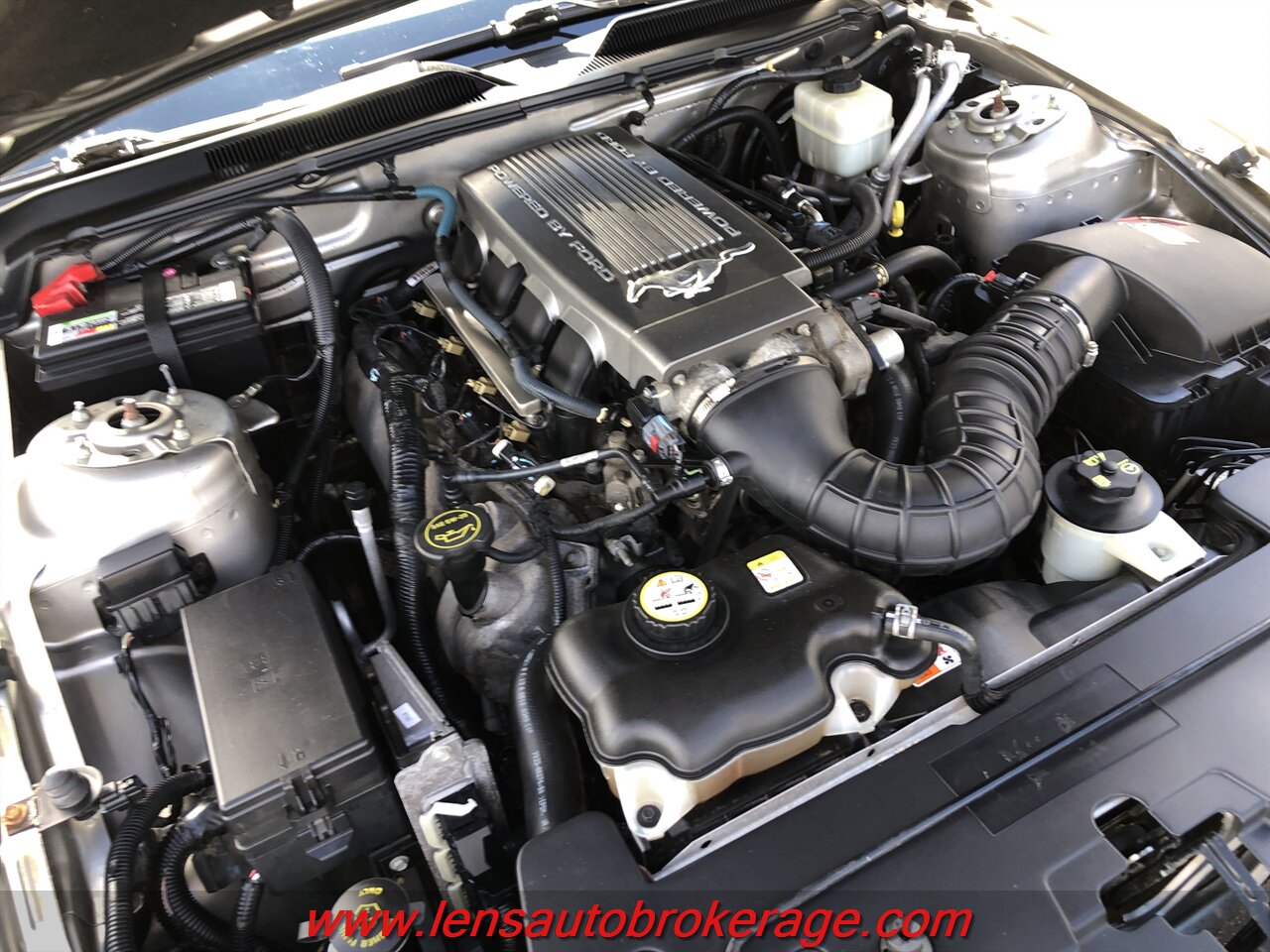 Photo 21