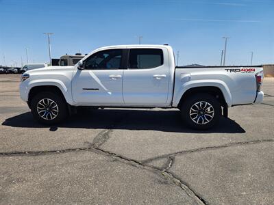 2022 Toyota Tacoma SR V6   - Photo 10 - Lake Havasu Cit, AZ 86403
