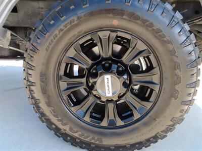 2020 Ford F-250 TREMOR  TREMOR - Photo 6 - Lake Havasu Cit, AZ 86403