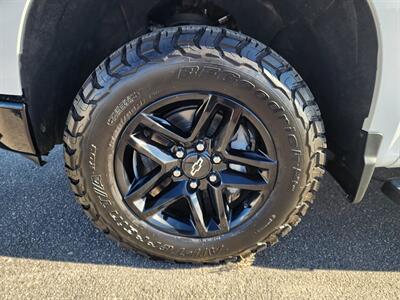 2024 Chevrolet Silverado 1500 LT Trail Boss   - Photo 11 - Lake Havasu City, AZ 86403