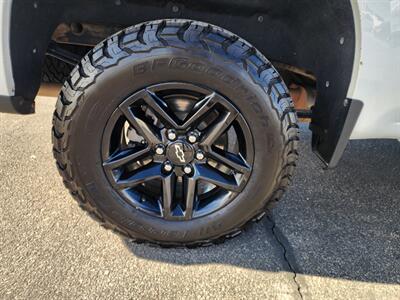 2024 Chevrolet Silverado 1500 LT Trail Boss   - Photo 13 - Lake Havasu City, AZ 86403