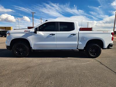 2024 Chevrolet Silverado 1500 LT Trail Boss   - Photo 8 - Lake Havasu City, AZ 86403