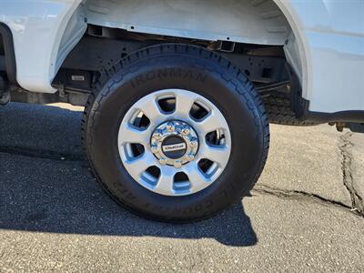 2024 Ford F-250 Super Duty XL   - Photo 10 - Lake Havasu City, AZ 86403