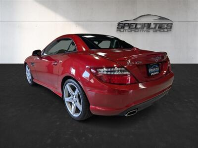 2016 Mercedes-Benz SLK SLK 300   - Photo 11 - Bountiful, UT 84010