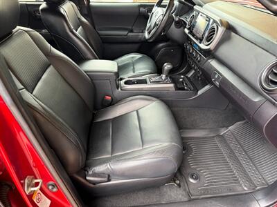 2019 Toyota Tacoma TRD Off-Road   - Photo 13 - St. George, UT 84770-2625