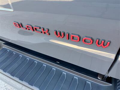 2021 Ford F-150 BLACK WIDOW EDITION   - Photo 34 - St. George, UT 84770-2625