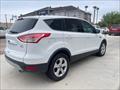 2014 Ford Escape SE   - Photo 3 - Donna, TX 78537