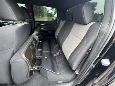 2023 Toyota Tacoma TRD Off-Road   - Photo 16 - Mesa, AZ 85210