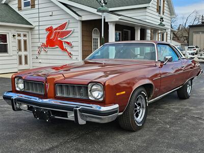 1974 Pontiac Le Mans Luxury   - Photo 1 - De Pere, WI 54115