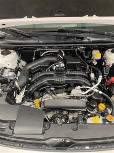 2019 Subaru Crosstrek 2.0i Premium   - Photo 30 - Metropolis, IL 62960