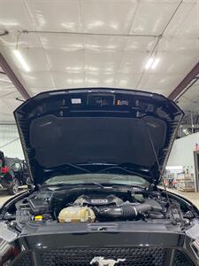 2016 Ford Mustang GT   - Photo 27 - Metropolis, IL 62960