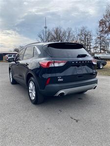 2021 Ford Escape SE   - Photo 7 - Metropolis, IL 62960