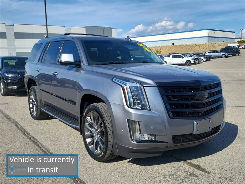 2019 Cadillac Escalade Luxury  