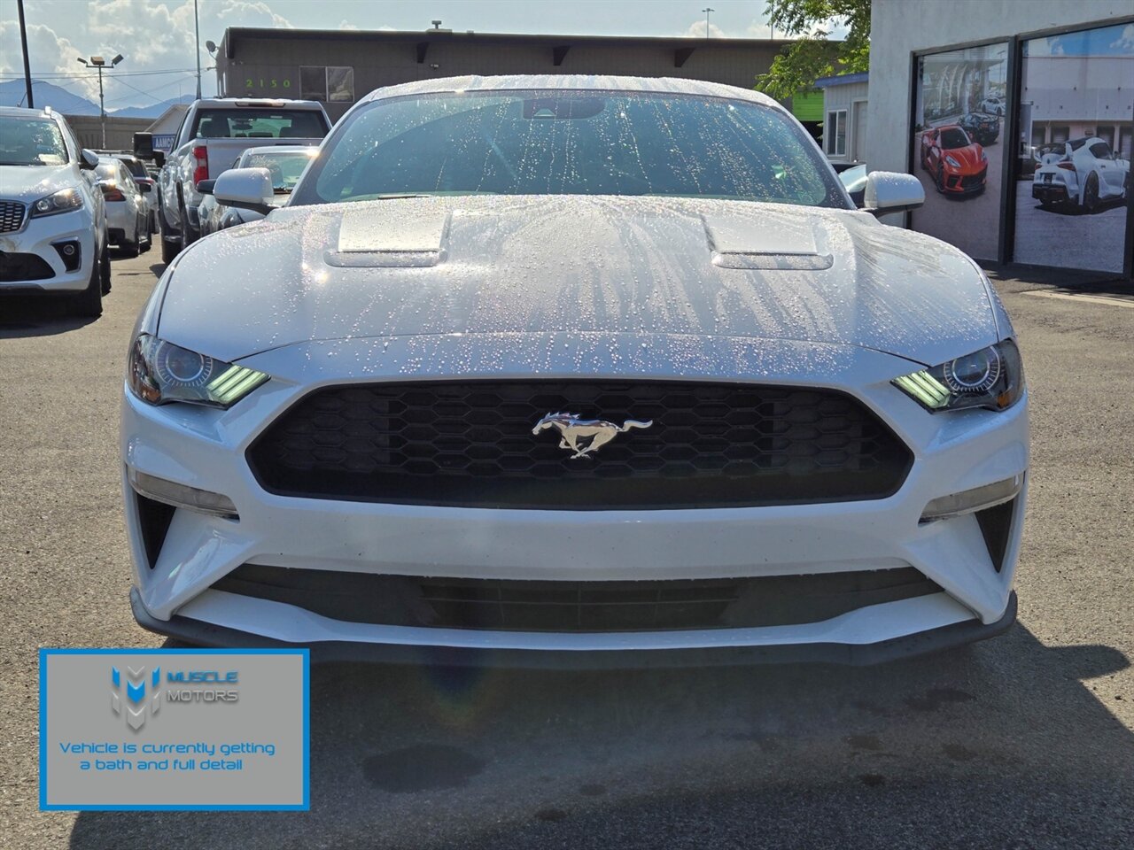 2022 Ford Mustang EcoBoost   - Photo 4 - Reno, NV 89511