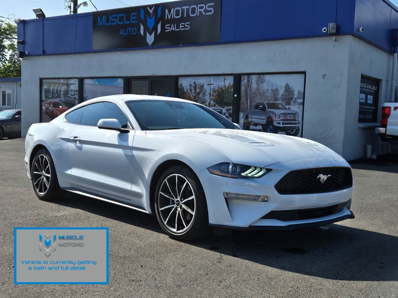 2022 Ford Mustang EcoBoost   - Photo 1 - Reno, NV 89511