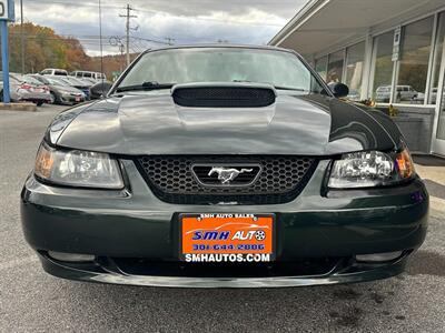 2001 Ford Mustang Bullitt   - Photo 6 - Frederick, MD 21702