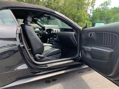 2021 Ford Mustang EcoBoost Premium   - Photo 10 - Frederick, MD 21702