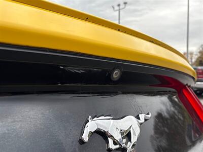 2015 Ford Mustang EcoBoost   - Photo 17 - Frederick, MD 21702