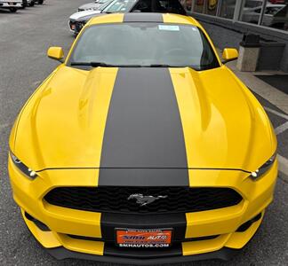 2015 Ford Mustang EcoBoost   - Photo 52 - Frederick, MD 21702