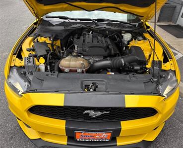 2015 Ford Mustang EcoBoost   - Photo 5 - Frederick, MD 21702