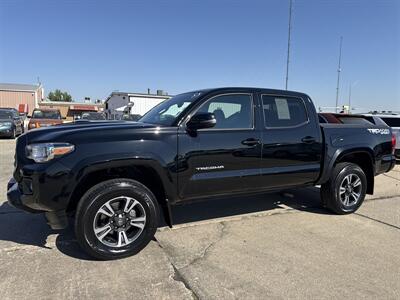 2019 Toyota Tacoma TRD Sport   - Photo 2 - South Sioux City, NE 68776