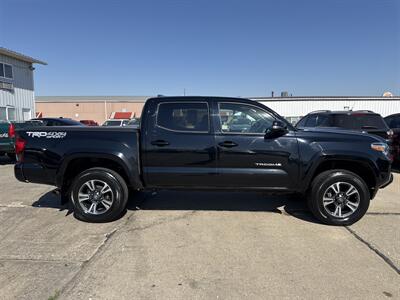 2019 Toyota Tacoma TRD Sport   - Photo 9 - South Sioux City, NE 68776