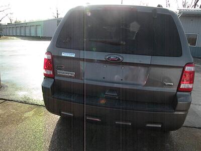 2010 Ford Escape XLT   - Photo 5 - Chandler, IN 47610