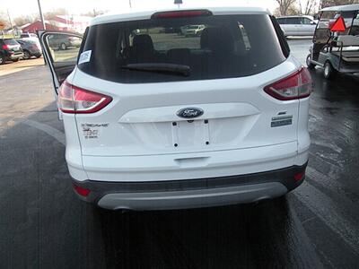 2014 Ford Escape SE   - Photo 5 - Chandler, IN 47610