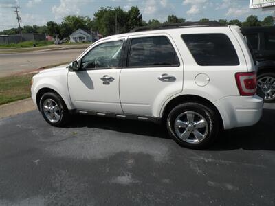 2011 Ford Escape XLT   - Photo 1 - Chandler, IN 47610