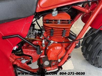 1982 Honda ATC 250R 3 Wheeler   - Photo 11 - North Chesterfield, VA 23237