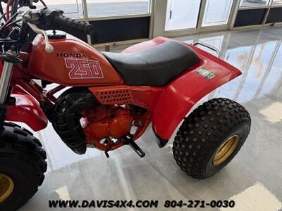 1982 Honda ATC 250R 3 Wheeler   - Photo 4 - North Chesterfield, VA 23237