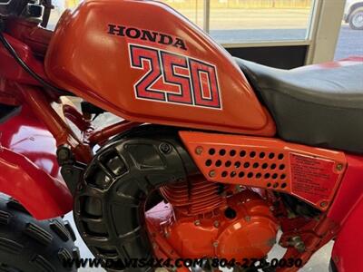 1982 Honda ATC 250R 3 Wheeler   - Photo 18 - North Chesterfield, VA 23237