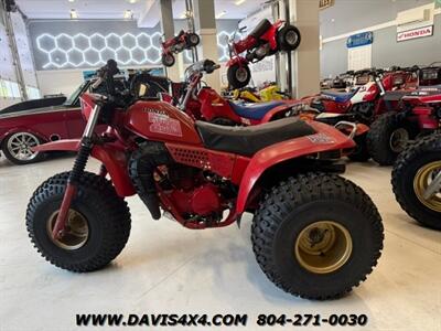 1981 Honda Atc 250r   - Photo 6 - North Chesterfield, VA 23237