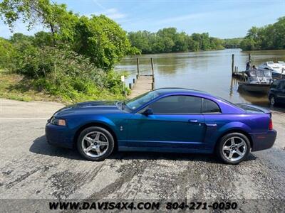 2004 Ford Mustang Cobra GT SVT Performance Sports Car Low Mileage   - Photo 4 - North Chesterfield, VA 23237