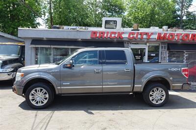 2013 Ford F-150 Platinum - Photo 4 - Newark, NJ 07104