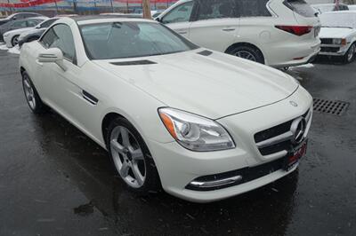 2013 Mercedes-Benz SLK SLK 250   - Photo 3 - Newark, NJ 07104