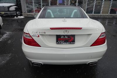 2013 Mercedes-Benz SLK SLK 250   - Photo 7 - Newark, NJ 07104