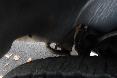 2011 Chevrolet Silverado 1500 Work Truck   - Photo 26 - Newark, NJ 07104