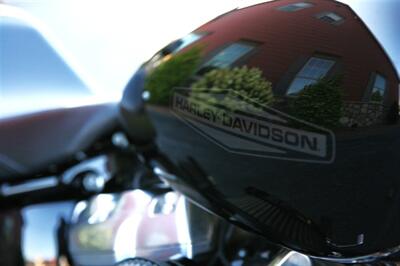 2020 Harley Davidson Softail FXST Standard   - Photo 9 - Strasburg, PA 17579