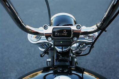 2020 Harley Davidson Softail FXST Standard   - Photo 5 - Strasburg, PA 17579