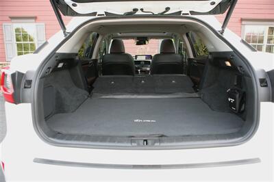 2017 Lexus RX 350 Base AWD   - Photo 17 - Strasburg, PA 17579