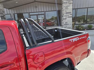 2023 Toyota Tacoma TRD Off-Road   - Photo 8 - Paris, TX 75460