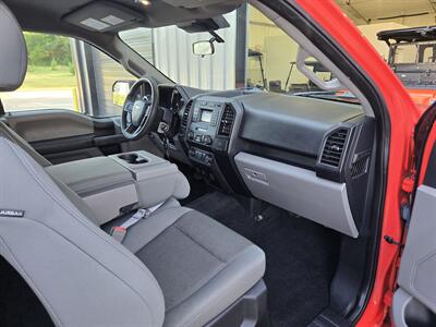 2019 Ford F-150 XL   - Photo 11 - Paris, TX 75460